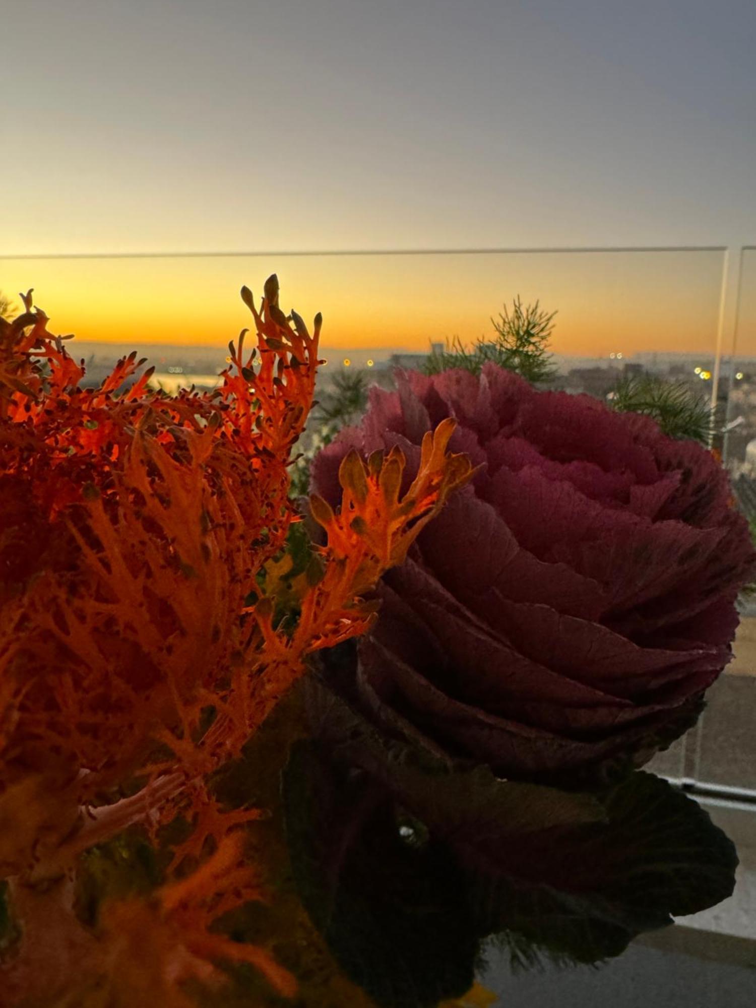 Bed and Breakfast La Terrazza Sul Porto Syrakus Exterior foto